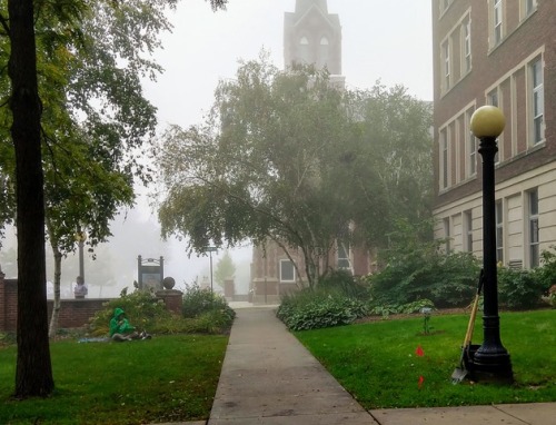 A foggy day showing the Ginkgo tree next to a sidewalk with the school's chappel in the background accross the street
